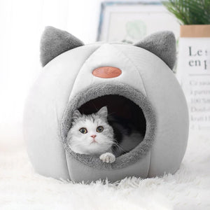Pets